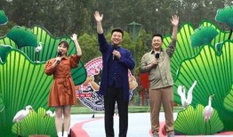 陈泽最新爆料新闻视频,揭秘新闻背后的惊人真相